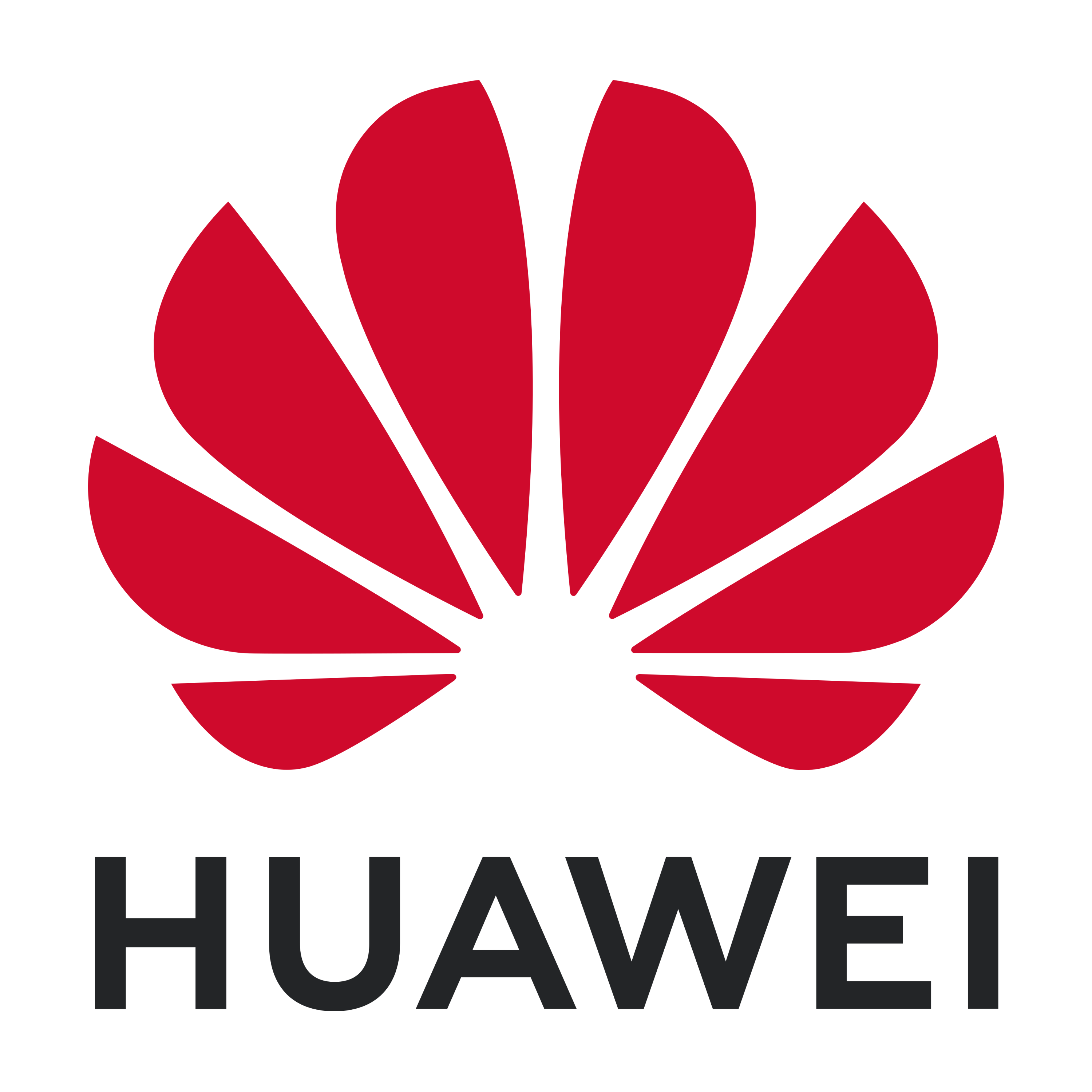 HUAWEI TECH INVESTMENT